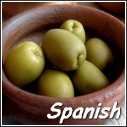Sevillano Spanish Olive Tree