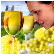 Sauvignon Blanc Wine Grape Vine