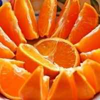 Buy Valencia Orange Tree | Valencia Orange Trees | Valencia Orange Tree